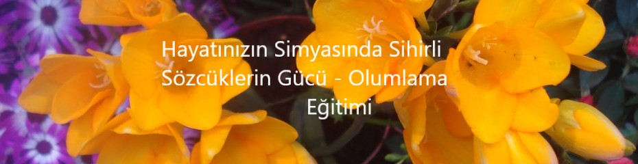 928921hayatinizin_simyasinda_sihirli_sozcuklerin_gucu__olumlama.jpg
